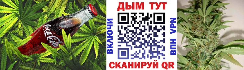 KRAKEN зеркало  Сенгилей  Cannafood конопля 