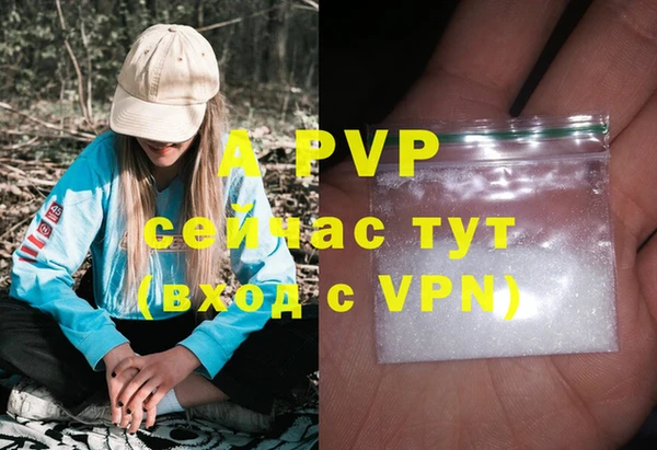 apvp Алексин