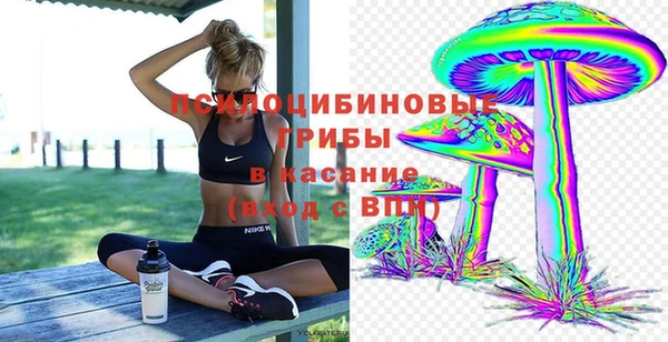 apvp Алексин