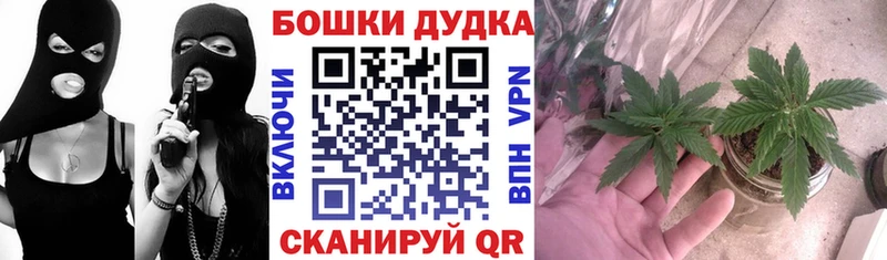 Шишки марихуана семена МЕГА вход Сенгилей
